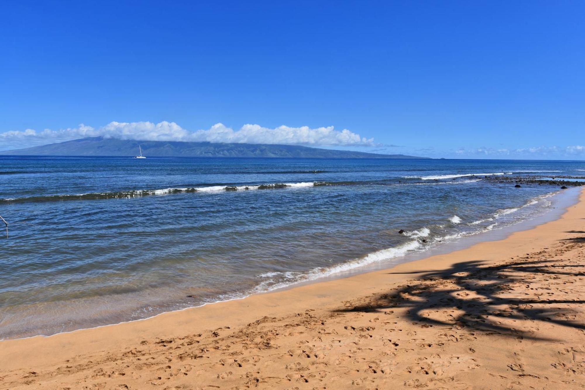 Kahana Kaanapali Shores 160 - Sleep Steps Away From The Ocean מראה חיצוני תמונה